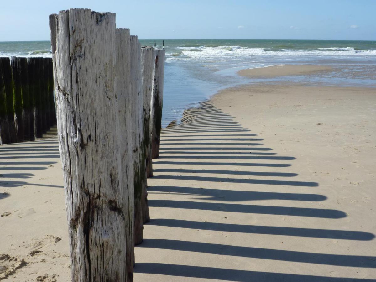 Vakantiehuis Domburg Do08 Met Sauna! Dış mekan fotoğraf
